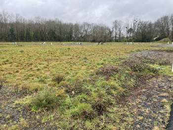 Vente Terrain 445 m&sup2;Saint-Aignan-Grandlieu