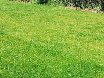 Vente Terrain 400 m&sup2;Saint-Alban