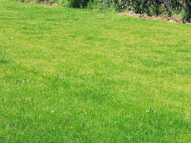 Terrain 400 m² · à Saint-Alban · 400 m² · 92 000 €