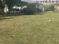 Vente de terrain