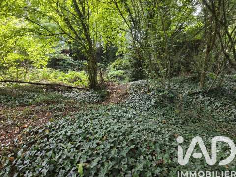 Vente de terrain Saint-Antoine-du-Rocher 37
