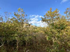 Vente Terrain 22400 m&sup2;Saint-Aquilin-de-Corbion