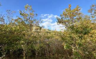 Photo Vente de terrain Saint-Aquilin-de-Corbion