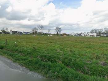 Vente de terrain Saint-Armel 35