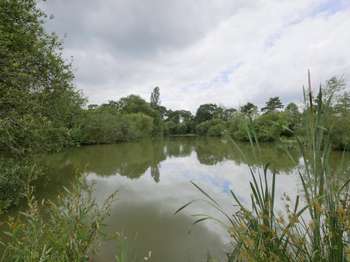 Vente Terrain 5062 m&sup2;Saint-Aubin-d'Aubigné