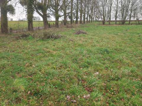 Vente de terrain Saint-Aubin-du-Pavail 35