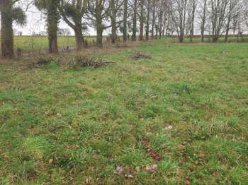 Vente de terrain Saint-Aubin-du-Pavail 35