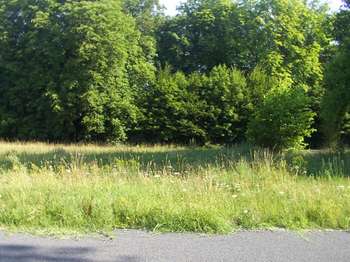 Vente de terrain Saint-Augustin-des-Bois 49
