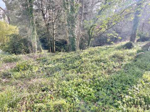 Vente de terrain Saint-Avé 56