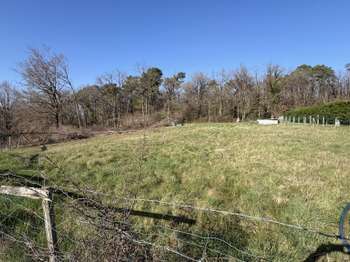 Vente de terrain Saint-Benoît-la-Forêt 37