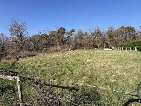 Vente de terrain Saint-Benoît-la-Forêt 37