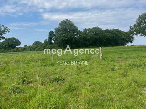 Vente de terrain Saint-Berthevin 53