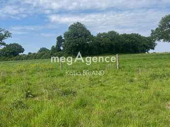 Vente Terrain 31800 m&sup2;Saint-Berthevin