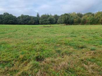 Vente Terrain 1933 m&sup2;Saint-Brandan