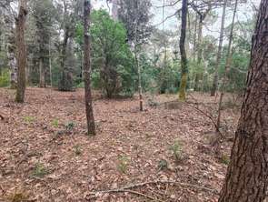 Vente Terrain 1060 m&sup2;Saint-Brevin-les-Pins