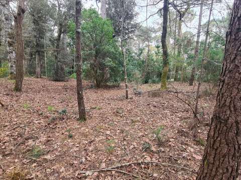 Vente de terrain Saint-Brevin-les-Pins 44