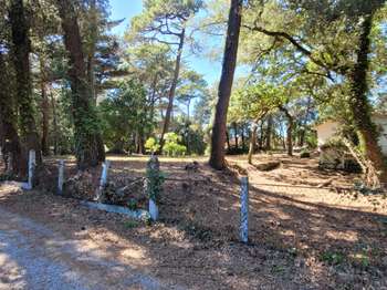 Vente de terrain