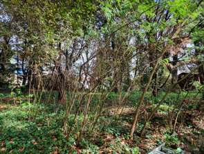 Vente Terrain 1030 m&sup2;Saint-Brevin-les-Pins