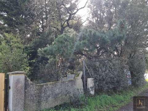 Vente de terrain