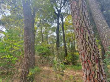 Vente de terrain Saint-Brevin-les-Pins 44