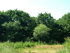 Vente Terrain 410 m&sup2;Saint-Briac-sur-Mer