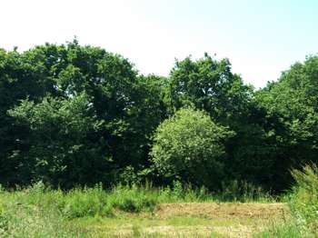 Vente Terrain 410 m&sup2;Saint-Briac-sur-Mer