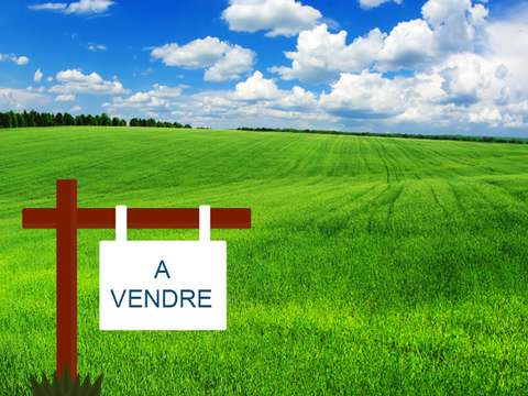 Vente de terrain Saint-Broladre 35
