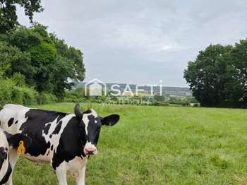 Vente de terrain Saint-Calais-du-Désert 53