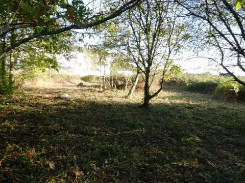 Vente de terrain