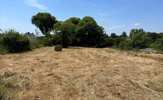 Photo Vente de terrain Saint-Christophe-des-Bois