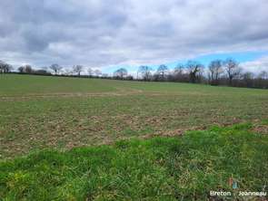 Vente Terrain 80671 m&sup2;Saint-Christophe-du-Luat