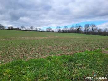Vente de terrain Saint-Christophe-du-Luat 53