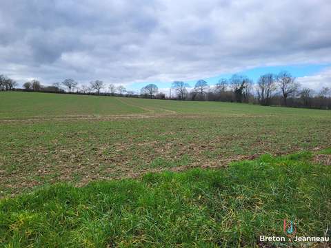 Vente de terrain Saint-Christophe-du-Luat 53