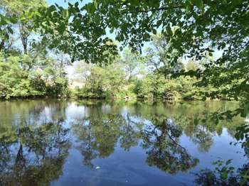 Vente de terrain Saint-Colomban 44