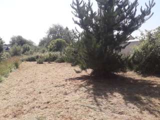Vente de terrain