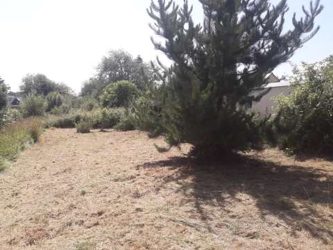Vente de terrain