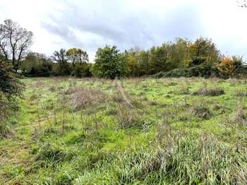Photo Vente de terrain Saint-Cyr-en-Talmondais