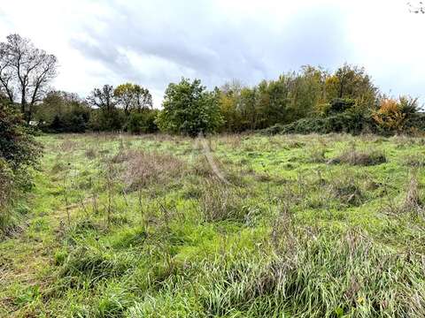 Vente de terrain Saint-Cyr-en-Talmondais 85