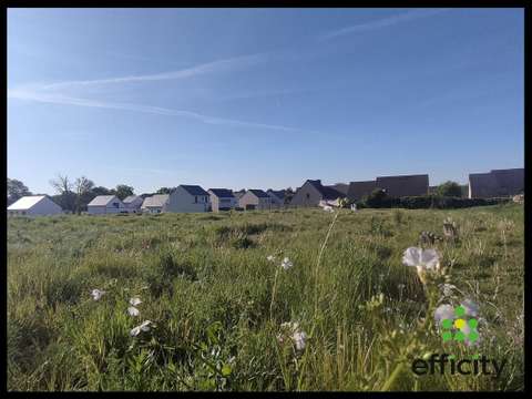 Vente de terrain Saint-Didier 35