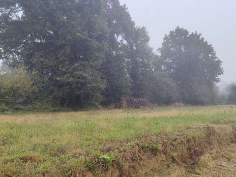 Vente de terrain Saint-Domineuc 35