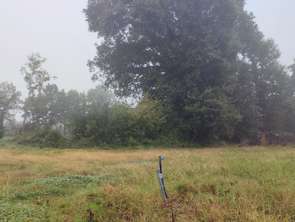 Vente Terrain 763 m&sup2;Saint-Domineuc