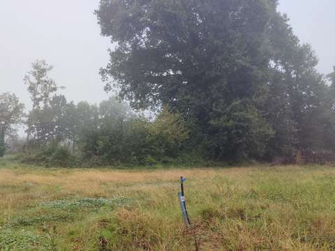 Vente de terrain Saint-Domineuc 35