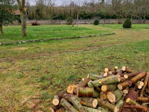 Vente de terrain Saint-Domineuc 35