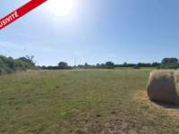 Vente de terrain