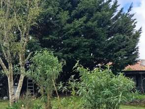 Vente Terrain 450 m&sup2;Saint-Étienne-de-Mer-Morte