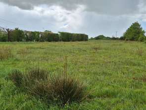 Vente Terrain 3100 m&sup2;Saint-Étienne-de-Mer-Morte