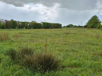 Vente de terrain Saint-Étienne-de-Mer-Morte 44