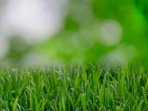 Vente Terrain 350 m&sup2;Saint-Étienne-de-Montluc