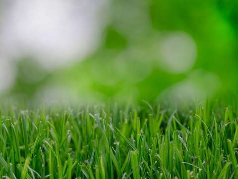 Vente de terrain Saint-Étienne-de-Montluc 44