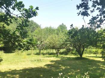 Vente de terrain Saint-Étienne-du-Bois 85